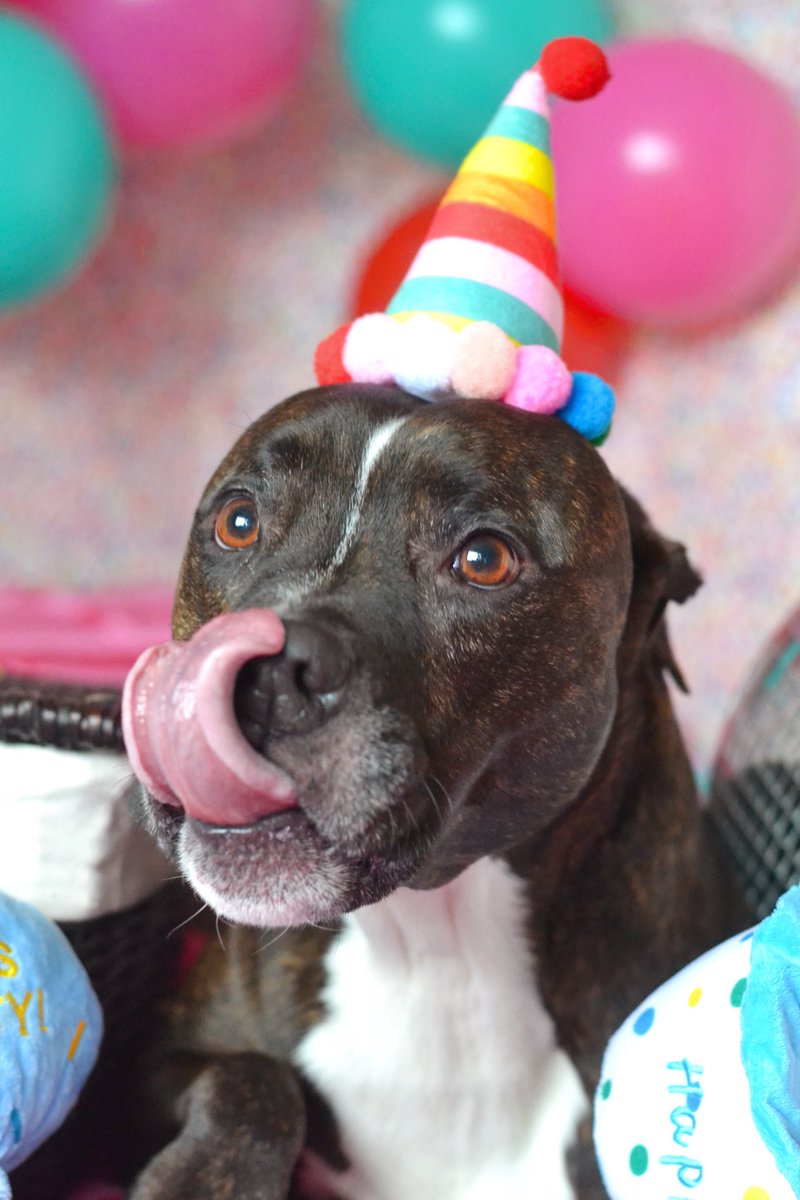 Birthday boy x