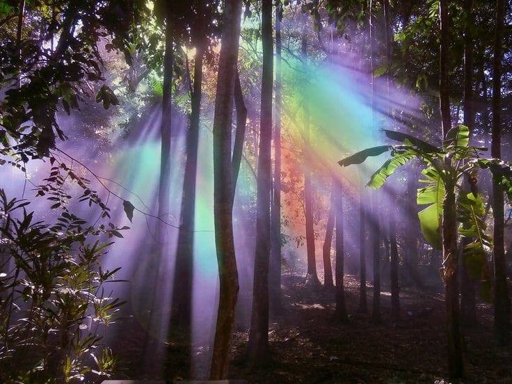 LunaGitana0333's tweet photo. Dice Una antigua Plegaria Hebrea:
"Que tus despertares te despierten. 
Y que al despertarte, el día que comienza te entusiasme. 

Y que jamas se transformen en rutinarios los rayos del sol que se filtran por tu ventana en cada nuevo amanecer. 

Y que tengas la lucidez de concentrarte y de rescatar lo más positivo de cada persona que se cruza en tu camino. 

Y que no te olvides de saborear la comida, detenidamente, aunque solo sea pan y agua.
 Y de encontrar algún momento en el día, aunque sea corto y breve, para elevar tu mirada hacia lo alto y agradecer por el milagro de la salud, ese misterioso y fantástico equilibrio interno. 

Y que logres expresar el amor que sientes por tus seres queridos. 
Y que tus abrazos, abracen. 
Y que tus besos, besen. 

Y que los atardeceres no dejen de sorprenderte, y que nunca dejes de maravillarte. 

Y que llegues cansada/o y satisfecho/a al anochecer por la tarea realizada durante el día. 

Y que tu sueño sea calmo, reparador y sin sobresaltos. 
Y que no confundas tu trabajo con la vida, ni tampoco el valor de las cosas con su precio. 

Y que no te creas más que nadie porque no somos más que el aliento.  
Y que no te olvides, ni por un instante que cada segundo de la vida es un regalo, un obsequio, y que si fuéramos realmente valientes, bailaríamos y cantaríamos de alegria al tomar conciencia de ello. 

Como un pequeñísimo homenaje al misterio de la vida que nos abraza y nos bendice."