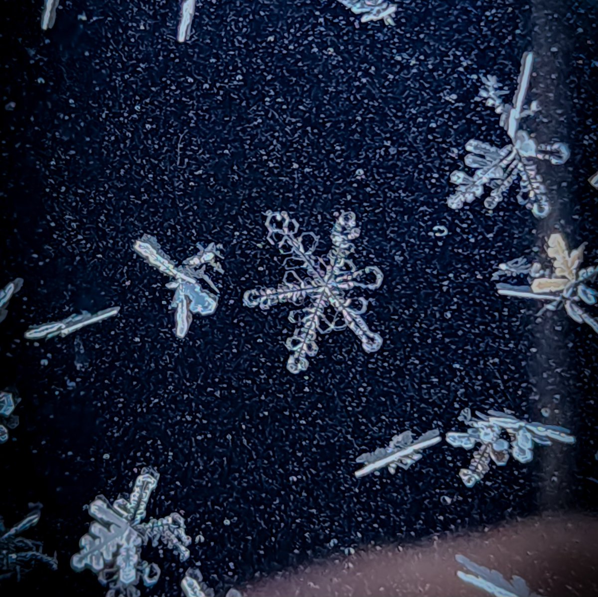 Abbas (@doctor_t_rex) on Twitter photo 