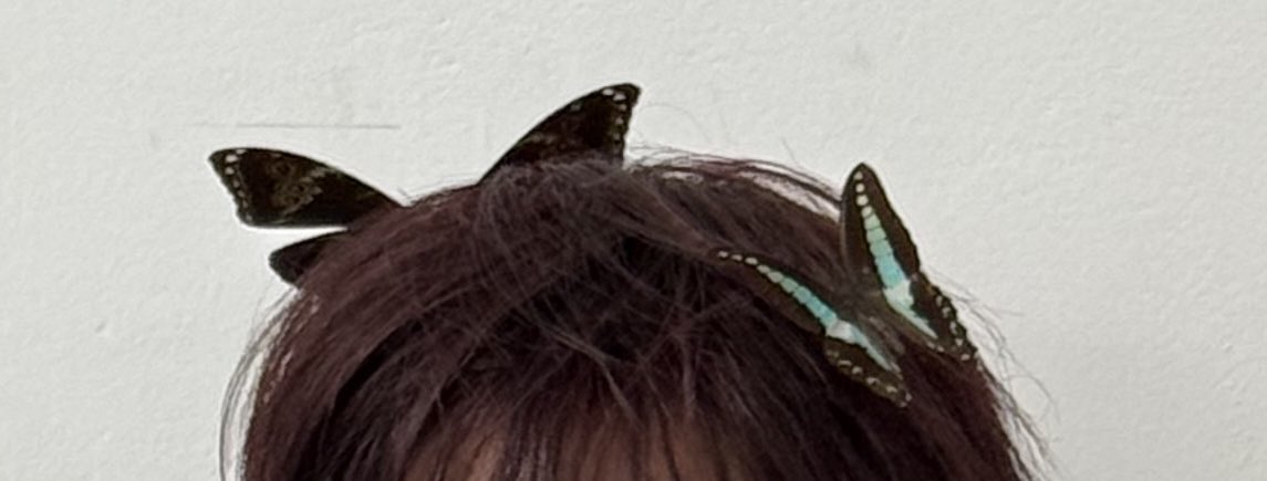 dailyharuto_'s tweet image. [250223] #HARUTO Weverse 🌟