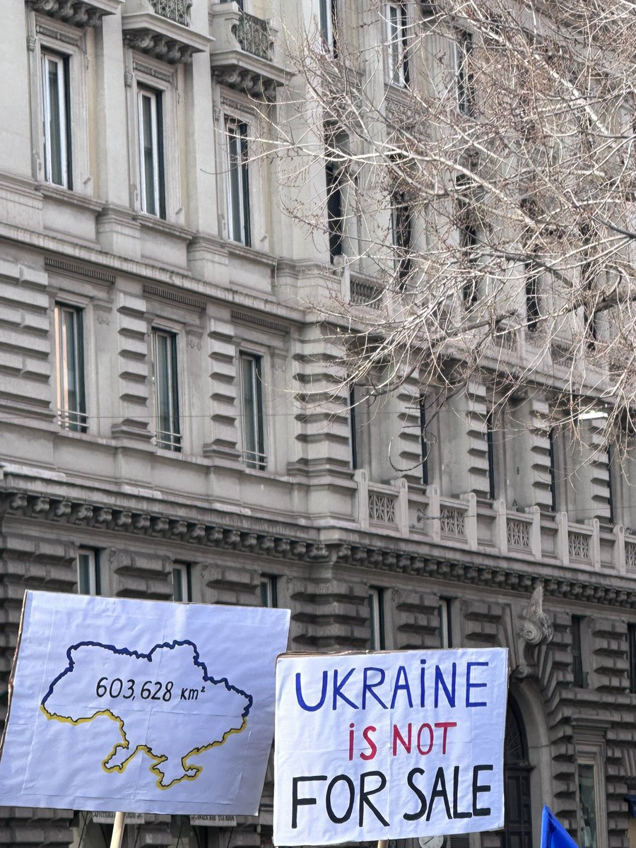 Spagna in Azione tweet media