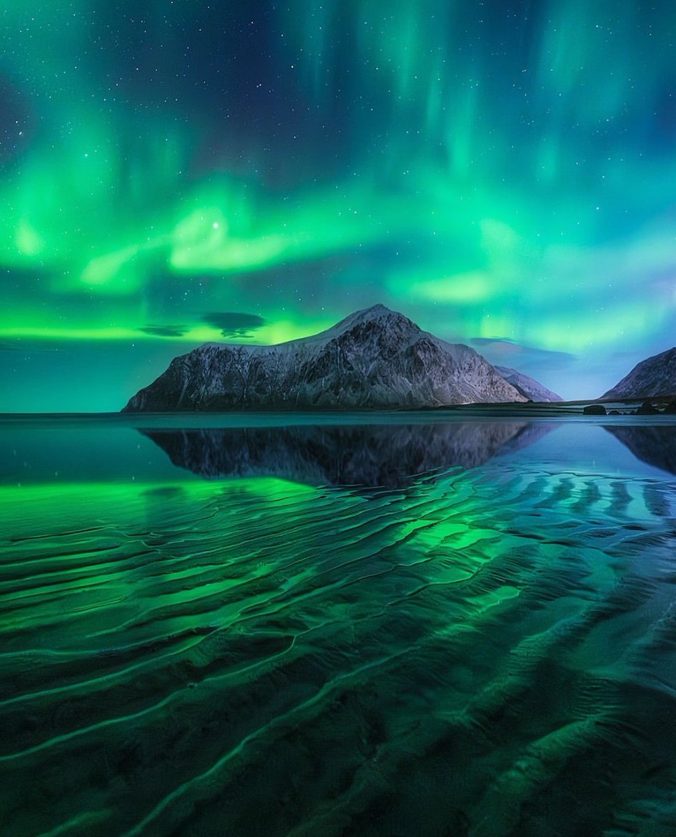 Arctic nights ✨