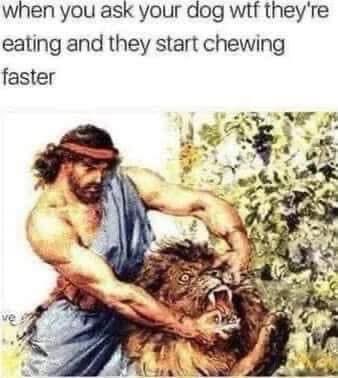 Explodogmax (@xam459) on Twitter photo 