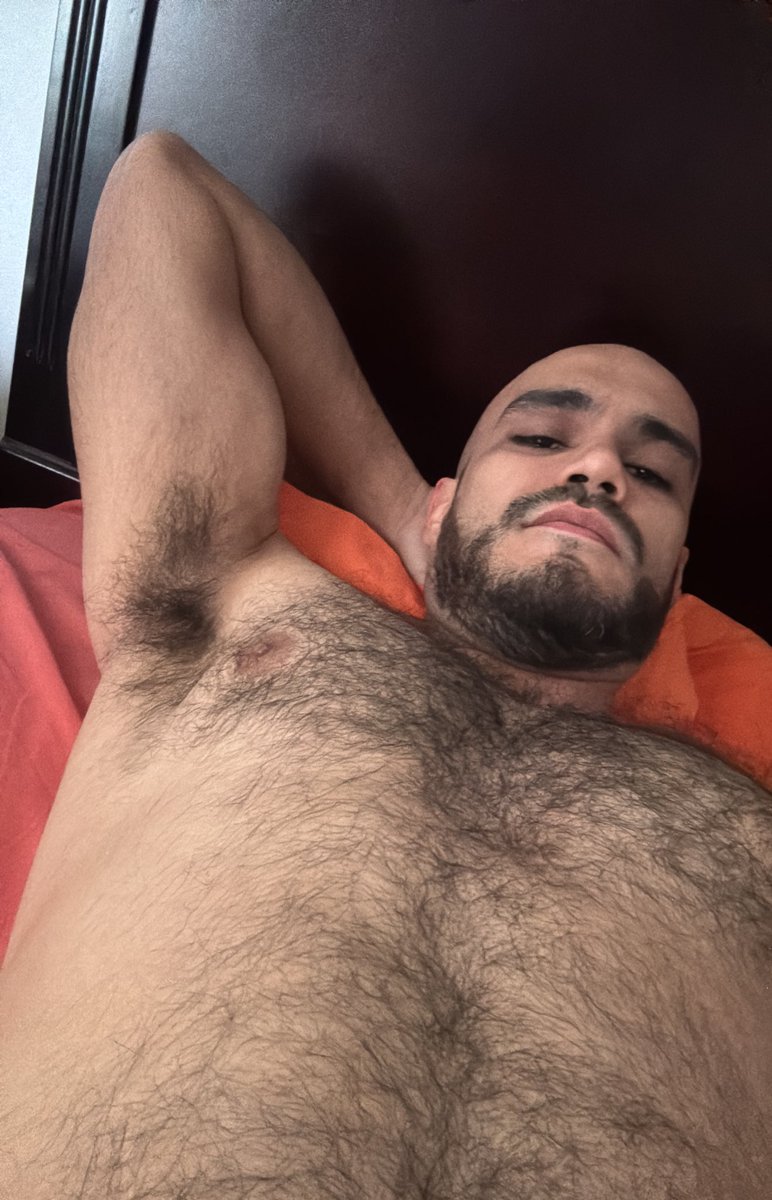 el barbón pelón tweet media