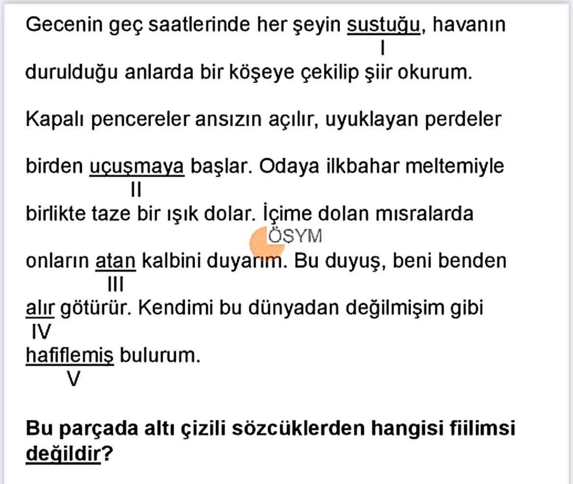 HASAN⭐️⭐️⭐️⭐️⭐️ tweet media
