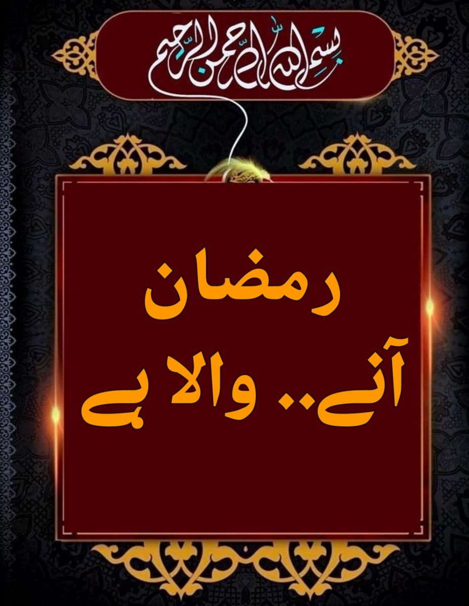 Reena Ghauri tweet media