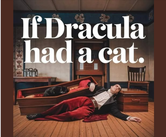 Druidshaven's tweet photo. Dracula: Master of the night, ruler of darkness... unless his cat sleeps in his coffin. Then he sleeps on the floor like a mere mortal." 🦇🐱 #VampireProblems #CatOwnersKnow #Cat #Dracula https://t.co/teHssa5QzD