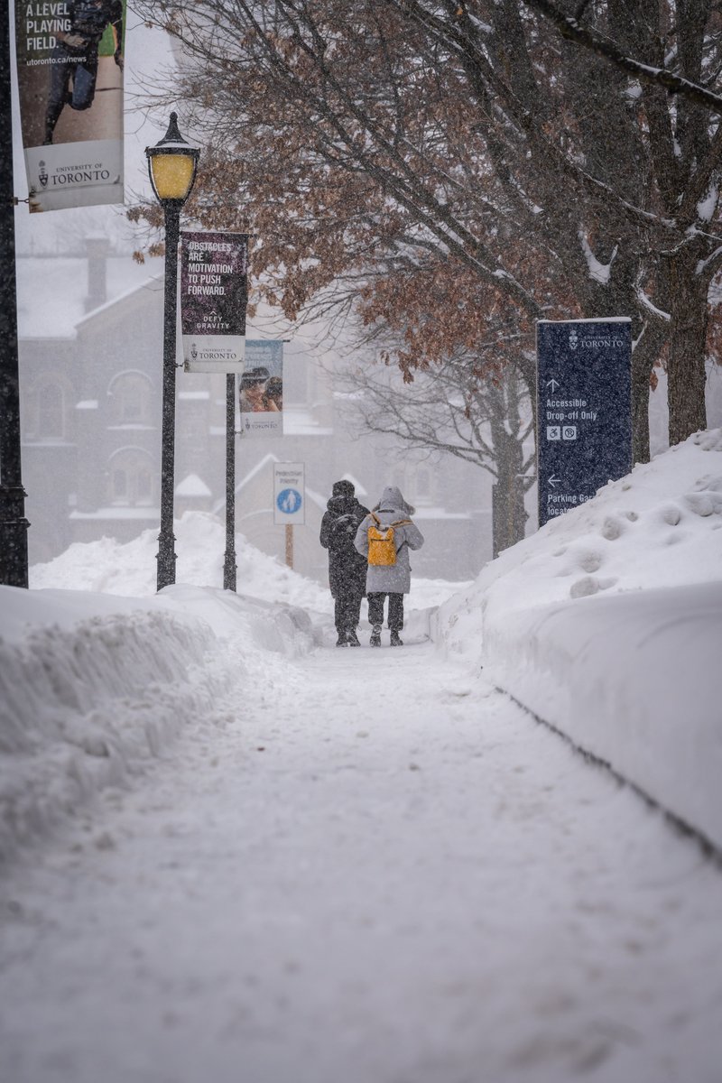 painkillaah's tweet photo. I risked my life for theses photos
#Toronto #streetphotography #photography #twitterphotography #wintervibes #snowfall #snow #winter https://t.co/wKEoW8XhSU