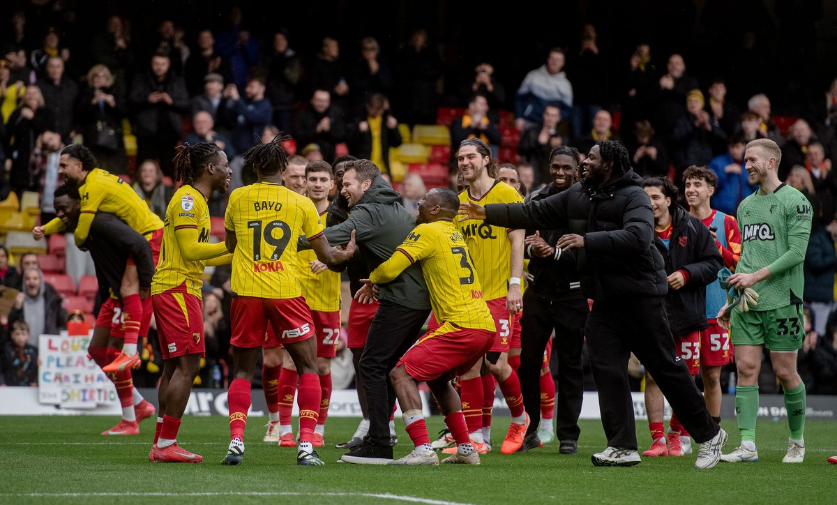 WatfordFC's tweet photo. Our new header 😁 https://t.co/BkDhJIgWuc