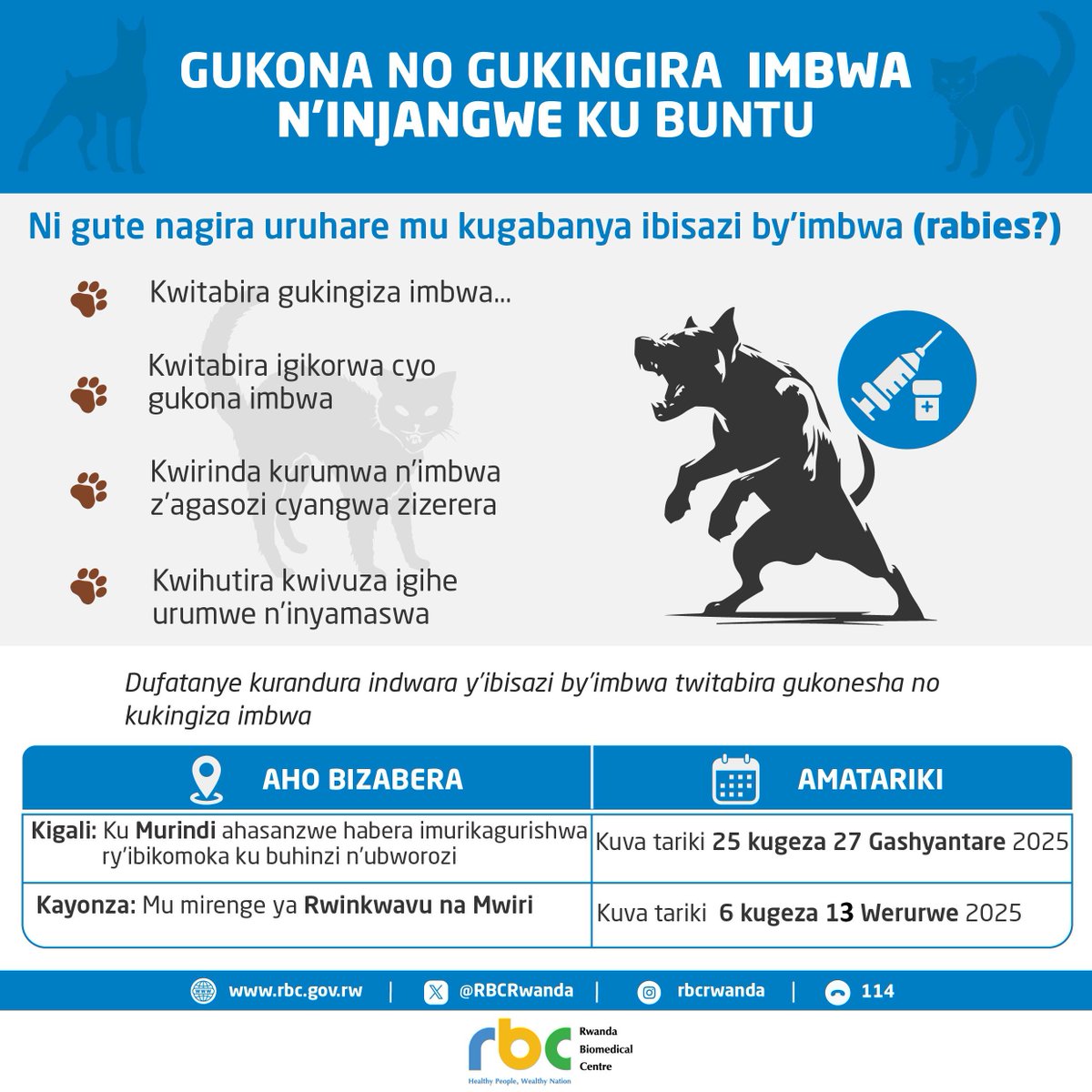 📢Waba ufite imbwa cyangwa injangwe? Uturanye n'ubifite?
Nawe wagira uruhare mu guca indwara y'ibisazi by'imbwa (#rabies) iterwa no kurumwa n'imbwa.

📆 Kuva ku wa 25 Gashyantare kugeza ku wa 13 Werurwe 2025, hateganyijwe ibikorwa bikurikira:

⏯️Gukingira imbwa n'injangwe