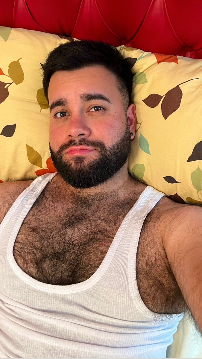 El Bearcito (@luisporta01) on Twitter photo 