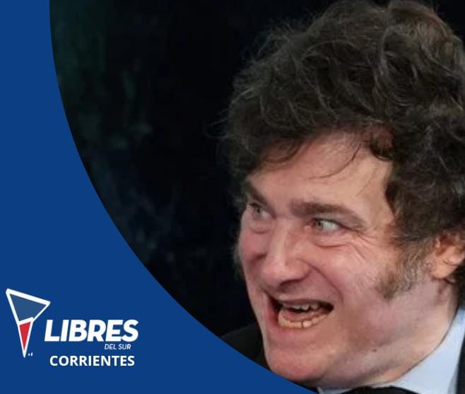 Partido Libres del Sur Corrientes tweet media