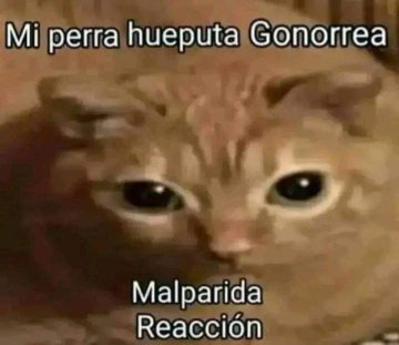 Aprovechando que mi cuenta esta bien muerta wa decir esto
Si este comentario tiene 20 likes haré una versión alternativa de mi personaje pero femboy