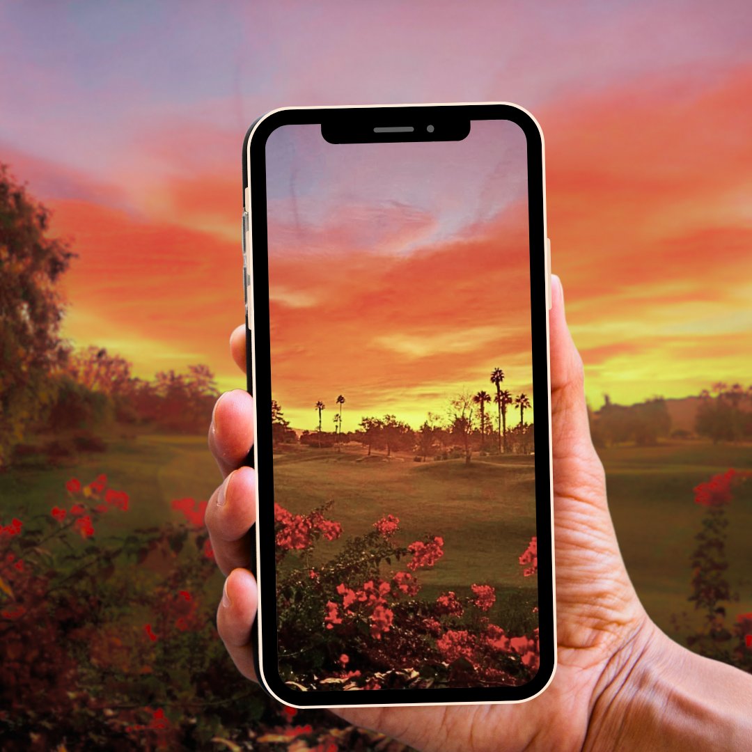 It's another gorgeous Sunset Sunday! The radiant blue, pink, orange, and yellow in the sky are like a high-five after a game well-played. Comment with your favorite sunset pic at Indian Wells and we'll feature it!