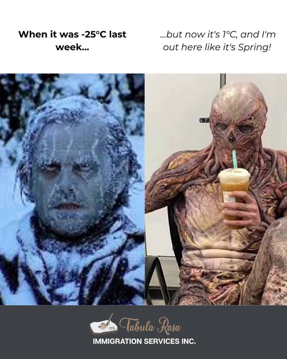 Tabula Rasa Immigration Services tweet media