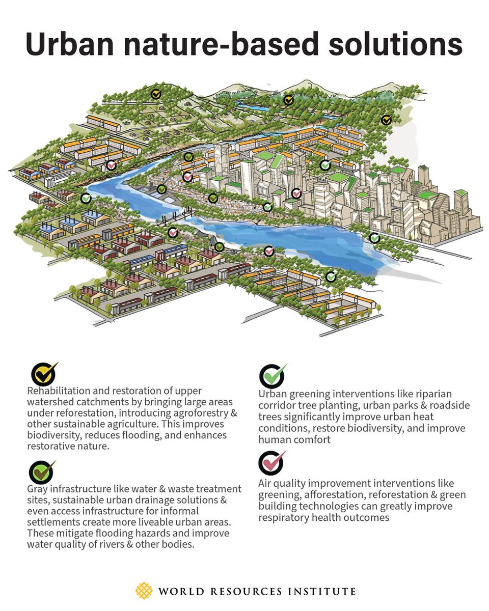 🌿🏘️Whether projects are big or small, in rural towns or sprawling cities, nature-based solutions can greatly advance climate resilience. 

A new report from @worldresources and @worldbank via analyzed nearly 300 nature-based projects in Africa. Explore some 🔑 findings: