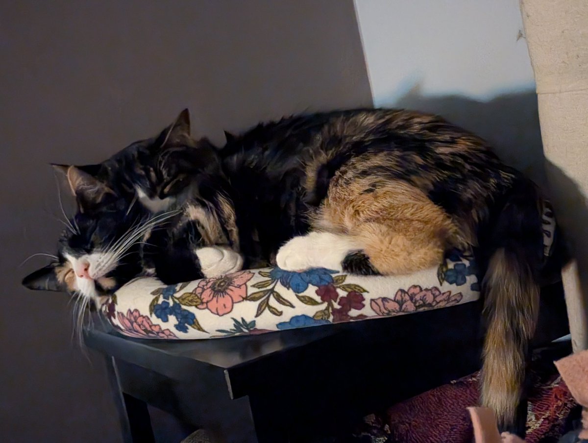 Kayce 🌞 tweet media