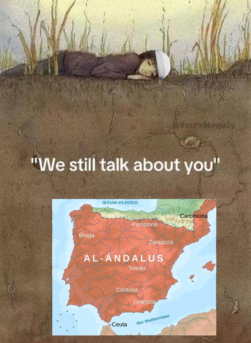 Halal Meme Wala (Retired) (@yoursmemely) on Twitter photo 