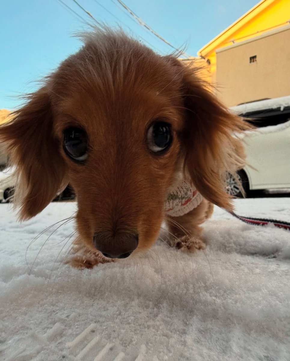 twaniimals's tweet photo. https://t.co/rLEzOWMdGc