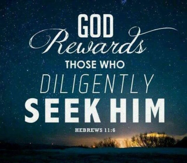 Seek God diligently.