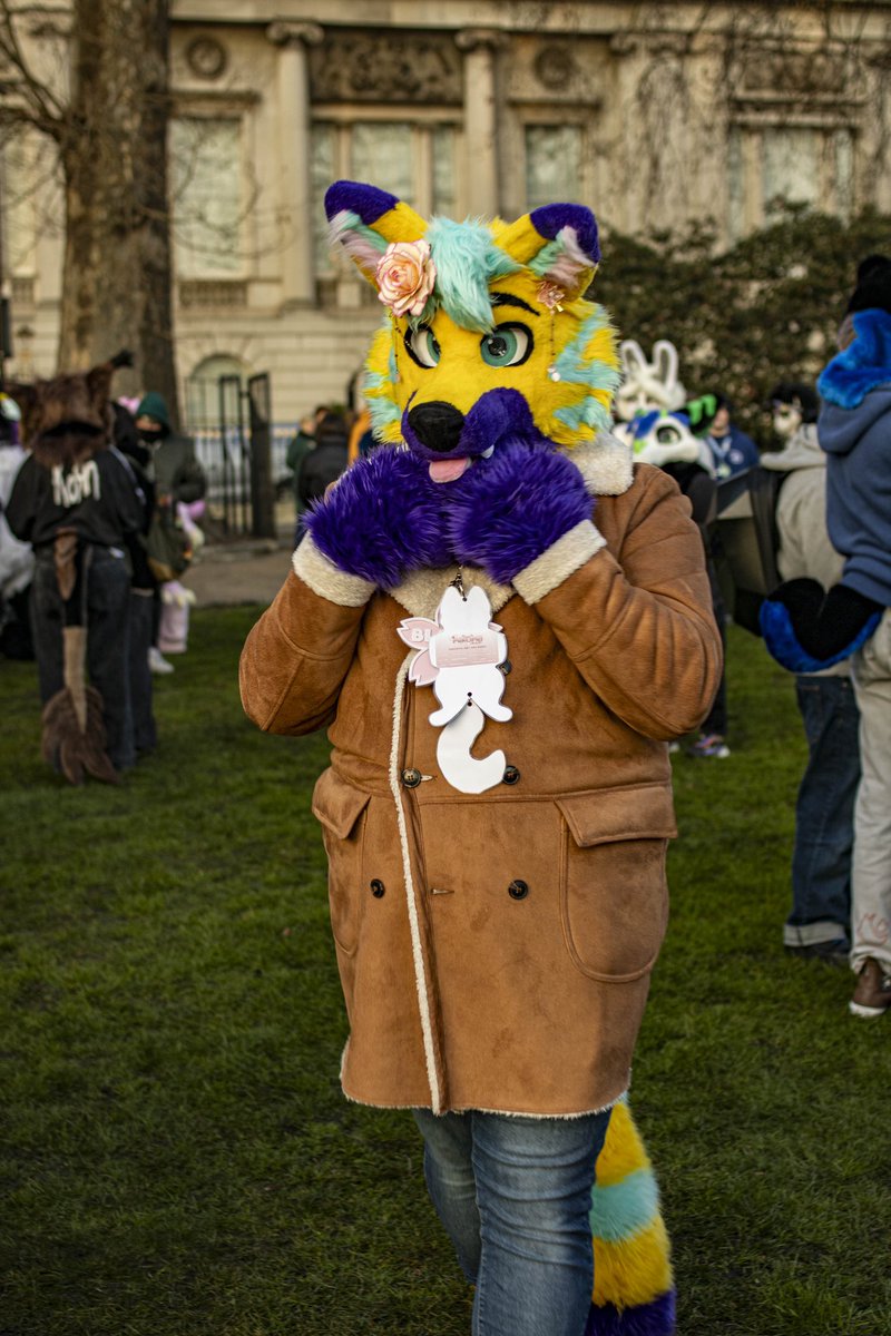 I love how this photo makes me seem so quiet, sweet and innocent when in reality I’m a loud bundle of chaos 😂😅🙈

📸: <a href="/Derg_photos/">Bass_Photography</a> 
🪡: <a href="/HouseOfCardsFur/">♠️ House Of Cards Fursuits ♠️</a>