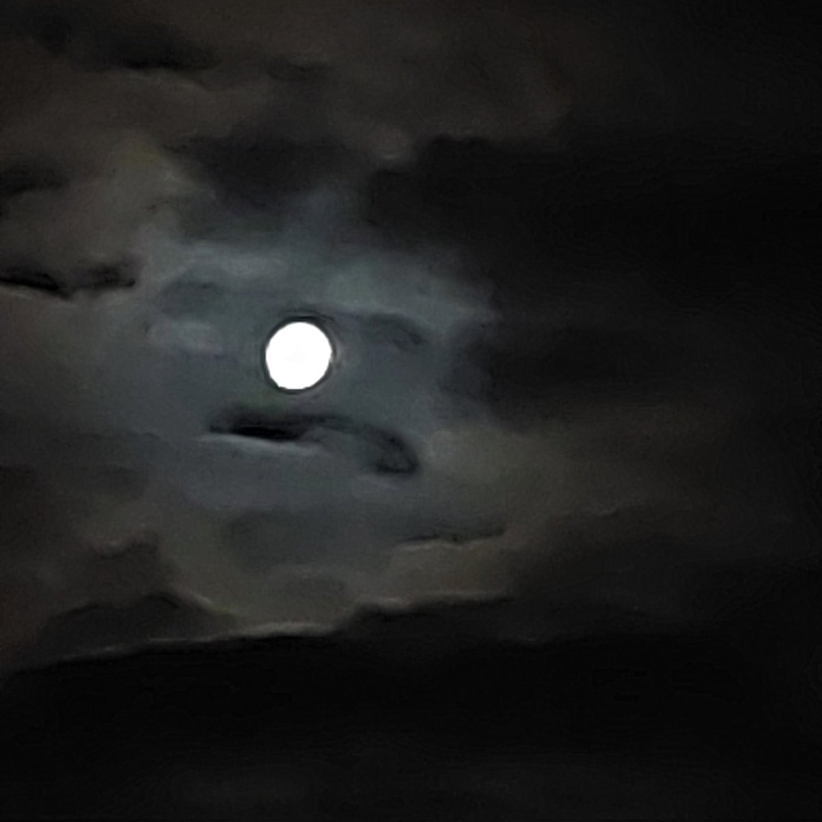 Lonnermark's tweet image. #NewProfilePic