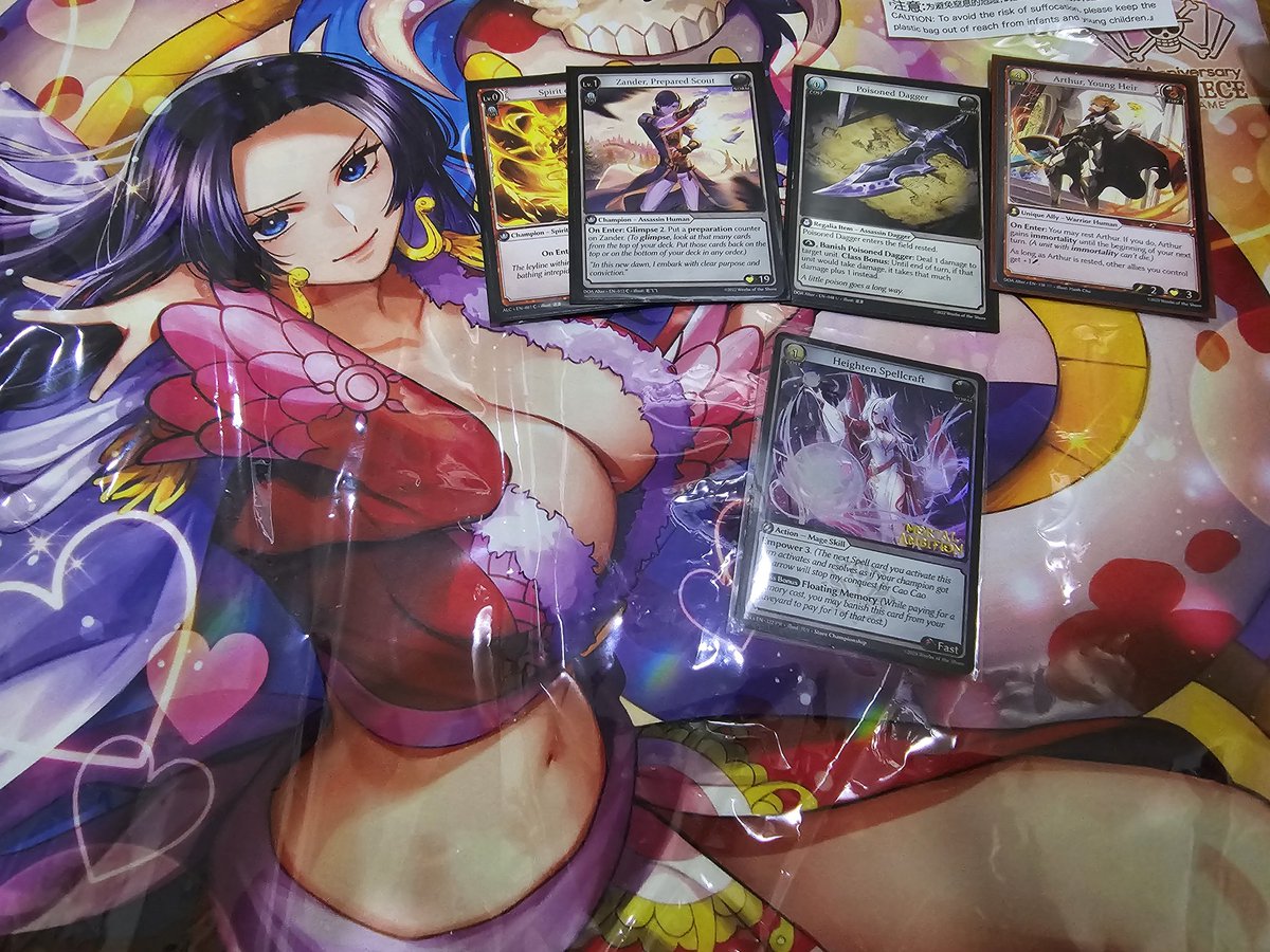 23 Feb OPtcg &amp; Grand archive

AGC One Piece Flagship 
1st place
Deck: Kalgara

AGC Grand Archive Store Championship
21st /48 players
Deck: Fire Aggro Zander

1day 18 games played in total 💀💀💀