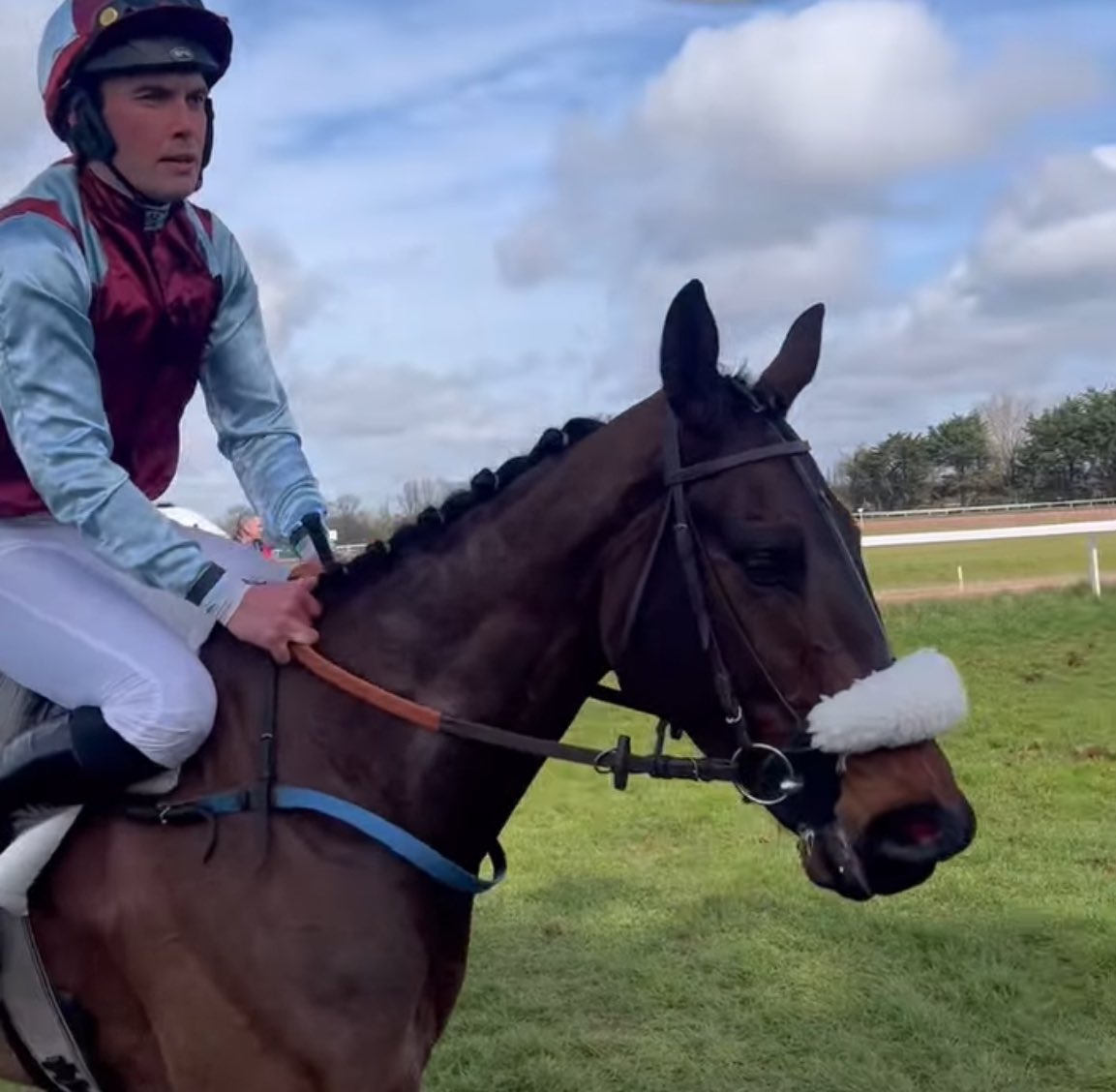 King Of Saintly 👑 s’impose sur les haies de Machecoul, sous la selle de Aymeric Lelièvre. Le représentant de la famille Coiffier nous offre une 6e victoire en 2025, bravo à toute l’équipe 👏