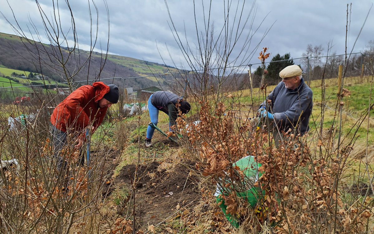 Forus Tree @forustree.bsky.social tweet media