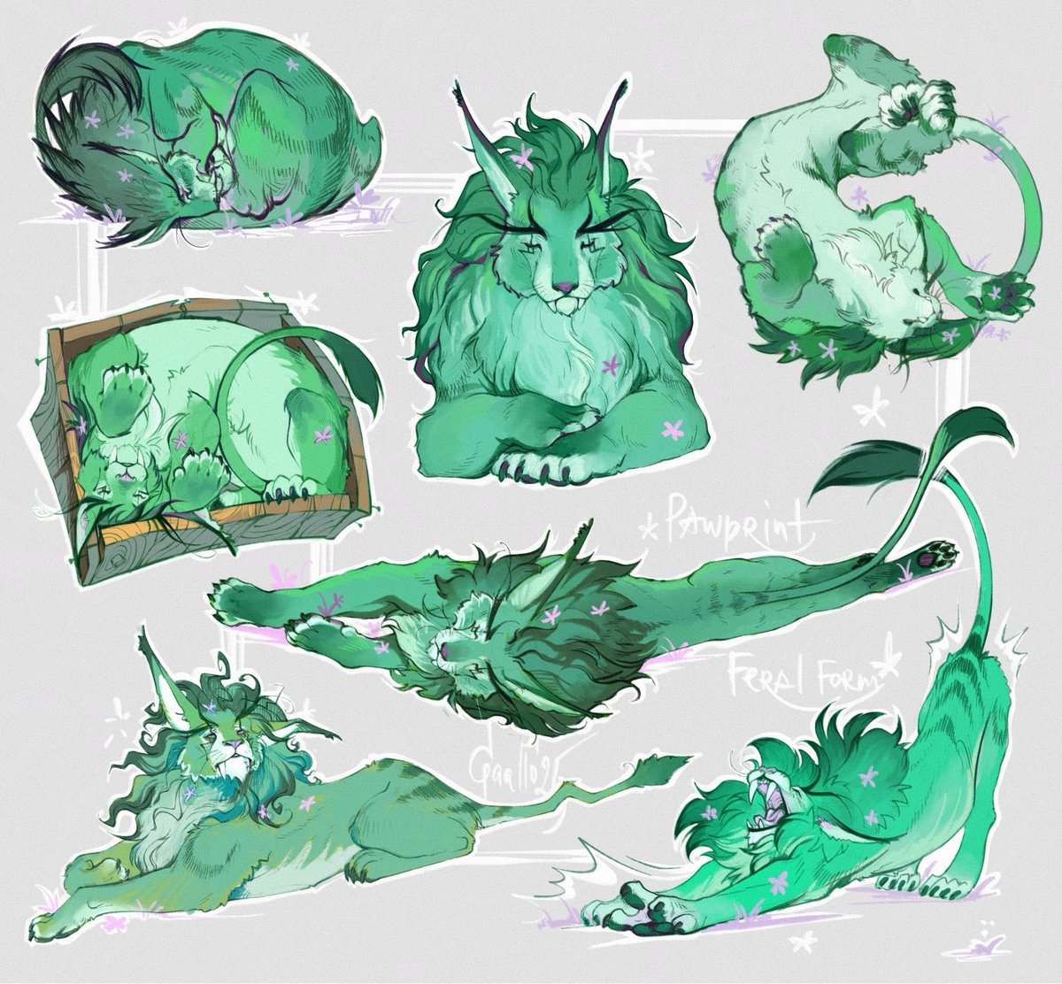 ☙ Gaallo tweet media