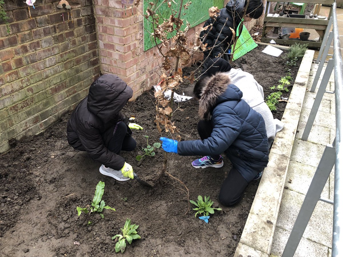 The Olive School, Hackney (@olive_hackney) on Twitter photo Our Eco-Warriors had a fantastic morning learning about and planting #trees within the school grounds thanks to the brilliant help from the Young Tree Champion Lead for London and the <a href="/TheTreeCouncil/">The Tree Council</a>. #StarCitizen #WeAreStar Our Eco-Warriors had a fantastic morning learning about and planting #trees within the school grounds thanks to the brilliant help from the Young Tree Champion Lead for London and the <a href="/TheTreeCouncil/">The Tree Council</a>. #StarCitizen #WeAreStar