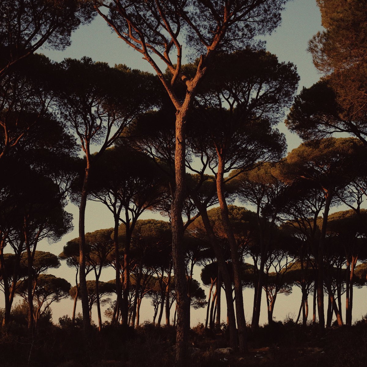 الحُزن هو أثَر الحبّ الباقي، هو دليل على أنّنا أحبَبنا بصدق ذات يوم.