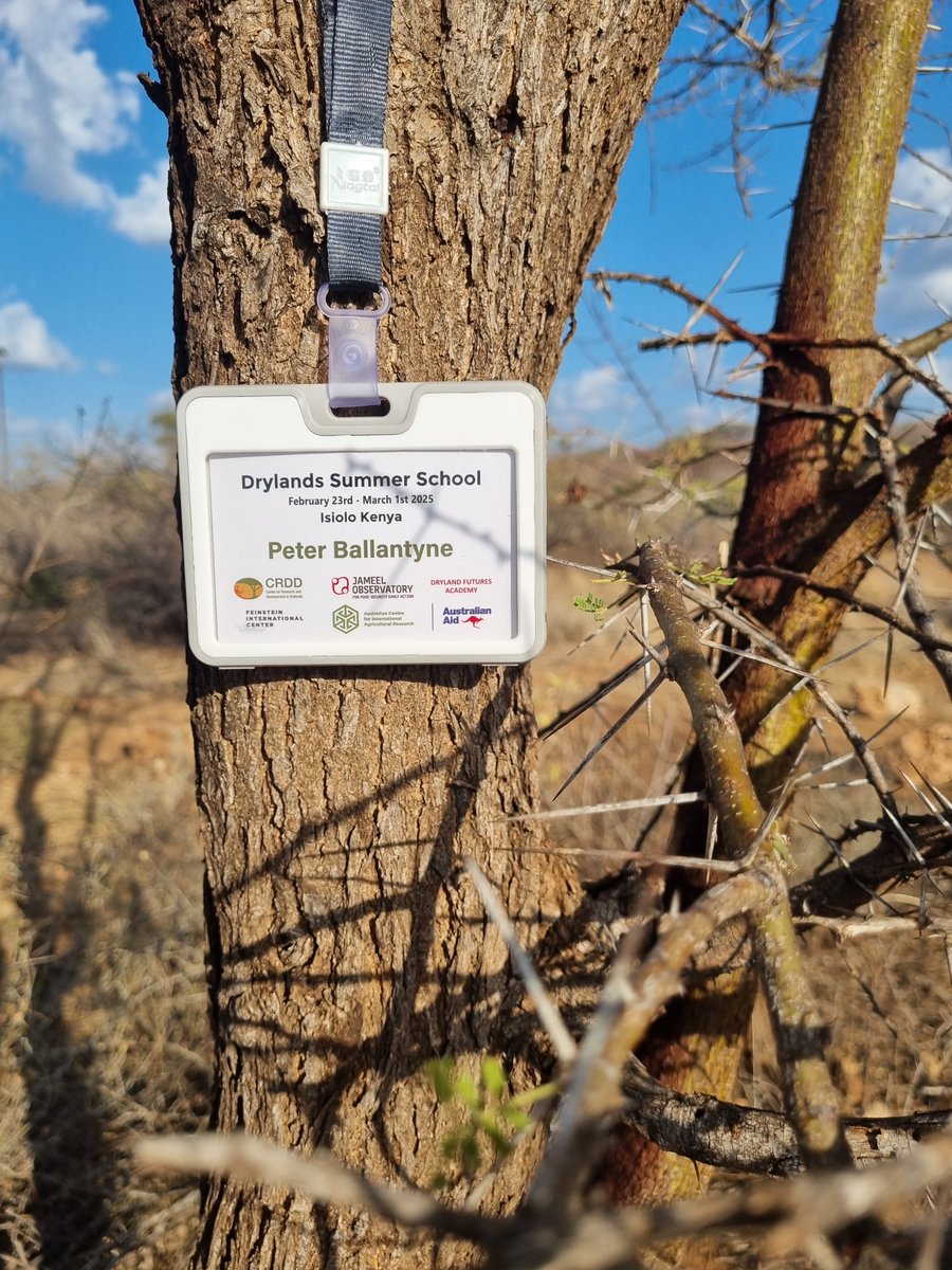 peterballantyne (@peterballantyne) on Twitter photo Great start to this week's #drylands summer school in Isiolo - exploring #Resilience from below with <a href="/CRDD_kenya/">Center for Research and Development in Drylands</a> <a href="/FeinsteinIntCen/">Feinstein International Center</a> and <a href="/ACIARAustralia/">ACIAR</a>
and a great set of students and experts from across the horn of africa
More info: jameelobservatory.org/2025-summersch… Great start to this week's #drylands summer school in Isiolo - exploring #Resilience from below with <a href="/CRDD_kenya/">Center for Research and Development in Drylands</a> <a href="/FeinsteinIntCen/">Feinstein International Center</a> and <a href="/ACIARAustralia/">ACIAR</a>
and a great set of students and experts from across the horn of africa
More info: jameelobservatory.org/2025-summersch…
