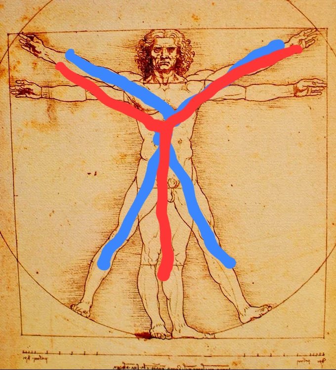 Behold, a mega Pokémon