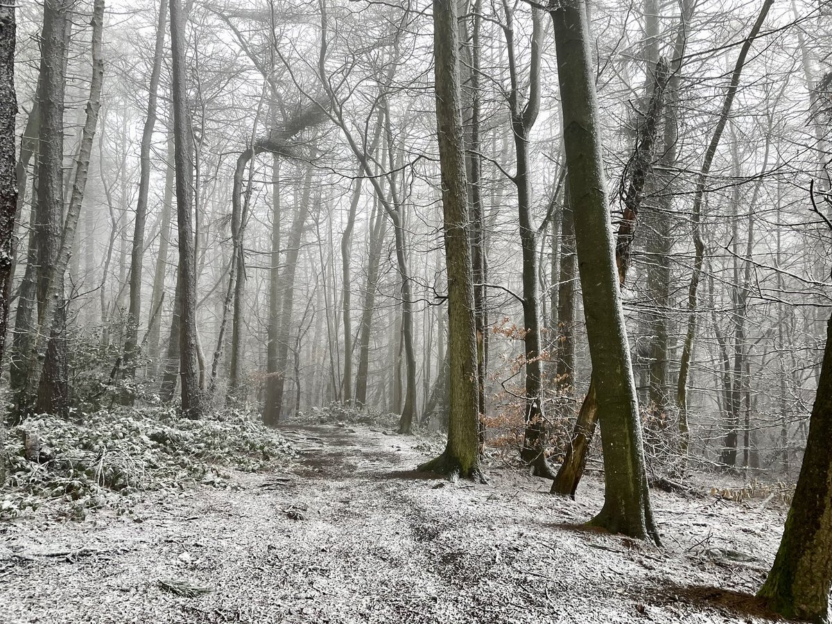 It's Looking A Bit Black Over Bill's Mother's tweet media