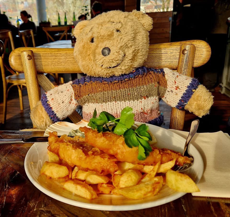 noahsbristol's tweet image. Always a pleasure to welcome @horace_the_alresford_bear to his favourite restaurant in Bristol 🥰💛

Half term week done, big thanks to everyone who’s been to see us! 

#halftermfun #fishandchips #noahsbristol