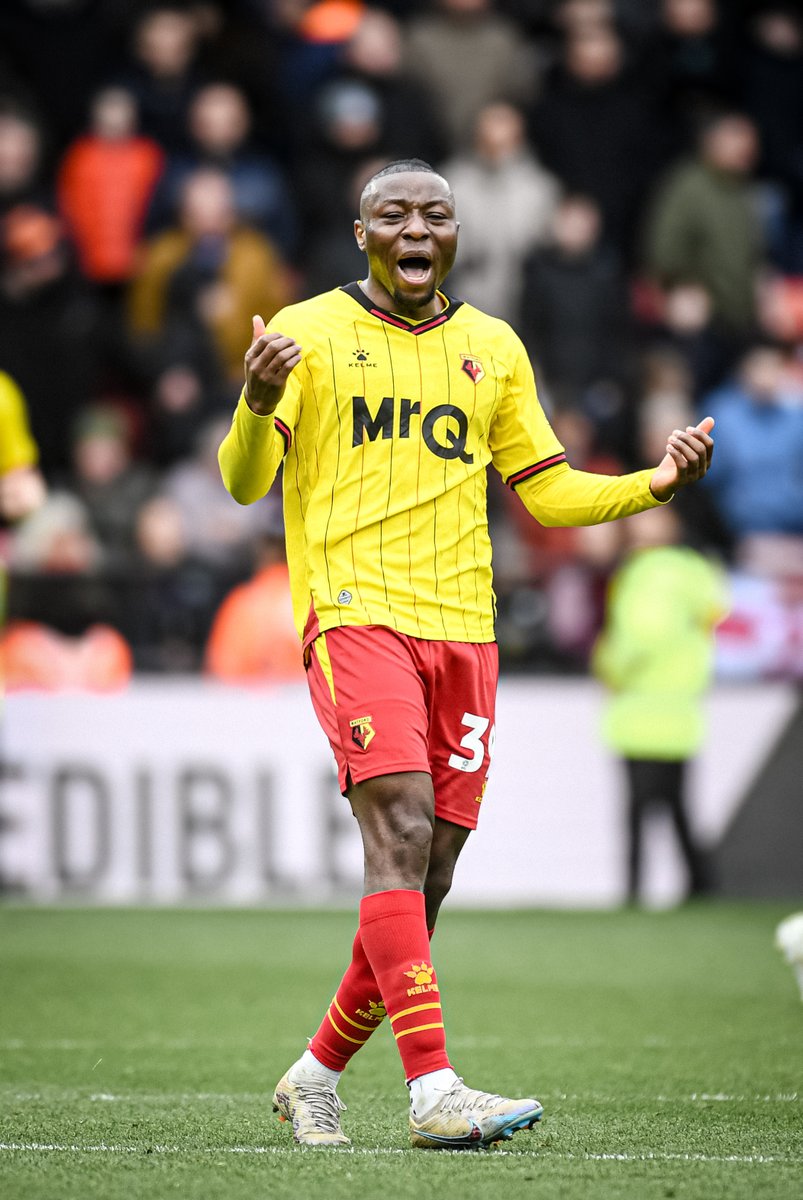 WatfordFC's tweet photo. Sleep well, Hornets 💛 https://t.co/gBe94nfSFF