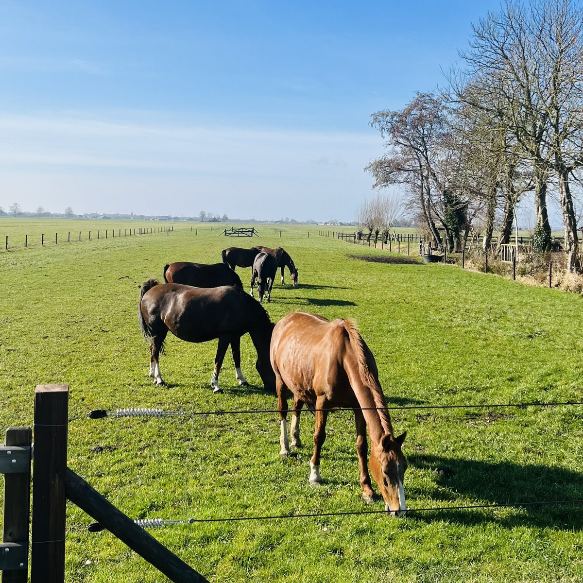 Henk Lassche tweet media