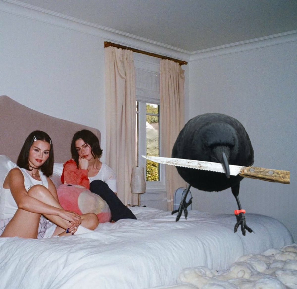 LeeCrowhurst's tweet image. crow with knife