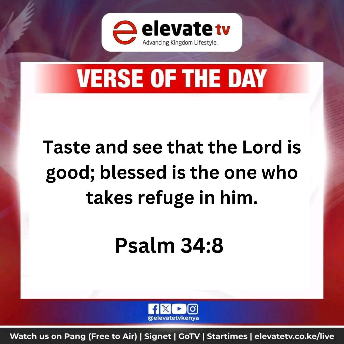 ElevateTVKenya's tweet image. God’s goodness is not just something to hear about—it’s something to experience! Take refuge in Him today and watch His blessings overflow in your life. 🙌 #GodIsGood #TakeRefuge #Verseoftheday #ElevateTV