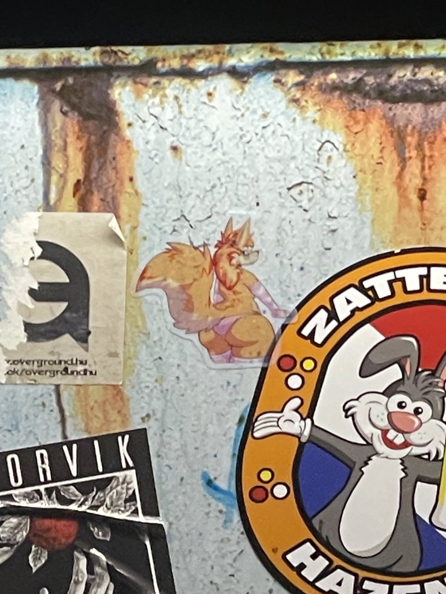 Mitzy 🐾 🔜 FWA (@mitzyfluff) on Twitter photo 