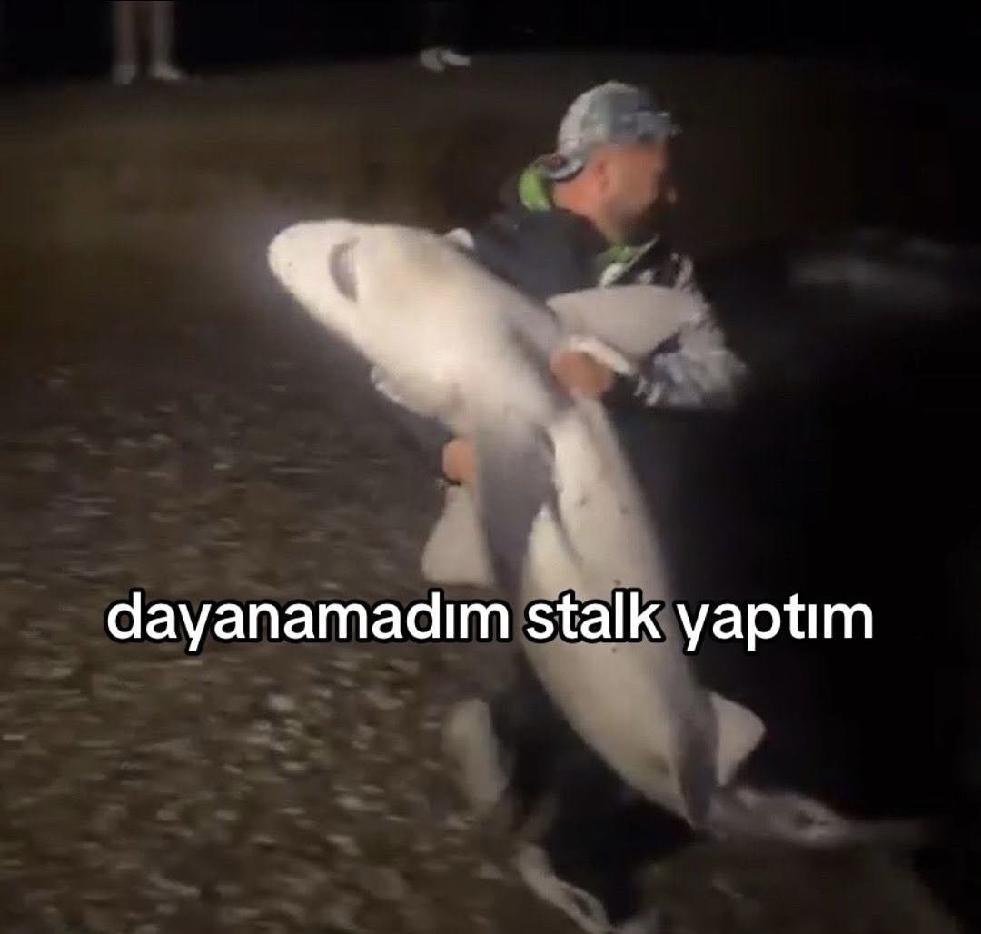 Ömer (@mersaomer) on Twitter photo 