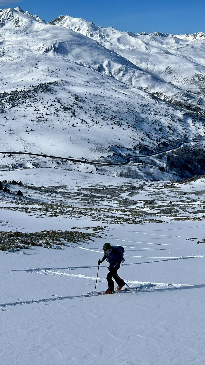 Jaume Jubert Ferré tweet media