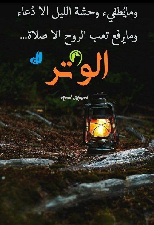 لـــــ🌸ـــــولي tweet media