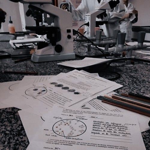 𝕳𝖔𝖑𝖆 𝖒𝖊 𝖕𝖗𝖊𝖘𝖊𝖓𝖙𝖔 
𝖘𝖔𝖞 𝕾𝖍𝖎𝖗𝖔 𝕾𝖒𝖎𝖙𝖍
𝖕𝖗𝖎𝖒𝖔𝖌é𝖓𝖎𝖙𝖔 𝖉𝖊 <a href="/luna_sm1th/">Luna</a>
19 𝖆ñ𝖔𝖘 
𝕮𝖎𝖊𝖓𝖙í𝖋𝖎𝖈𝖔
"𝕻𝖆𝖗𝖆 𝖆𝖕𝖗𝖊𝖈𝖎𝖆𝖗 𝖑𝖆 𝖑𝖚𝖟,𝖍𝖆𝖞 𝖖𝖚𝖊 𝖈𝖔𝖓𝖔𝖈𝖊𝖗 𝖑𝖆 𝖔𝖘𝖈𝖚𝖗𝖎𝖉𝖆𝖉 "