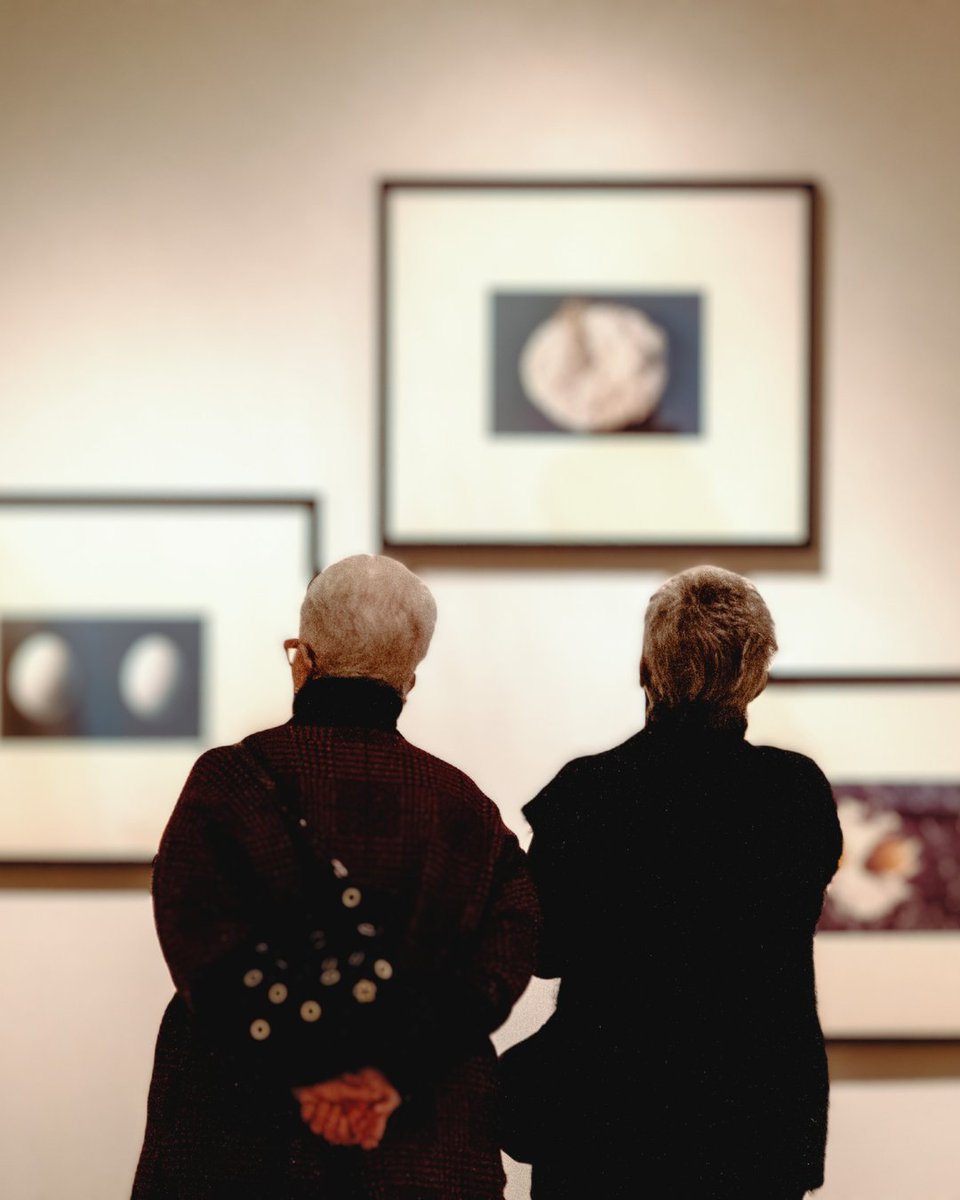Lifetime of Looking: Lovely Landscapes
Thursday, February 27,  2-3:30 PM. Lifetime of Looking is a public program at the Bruce for adults experiencing cognitive decline, such as Alzheimer’s Disease, and their family members and caregivers.
brucemuseum.org/whats-on/lifet…