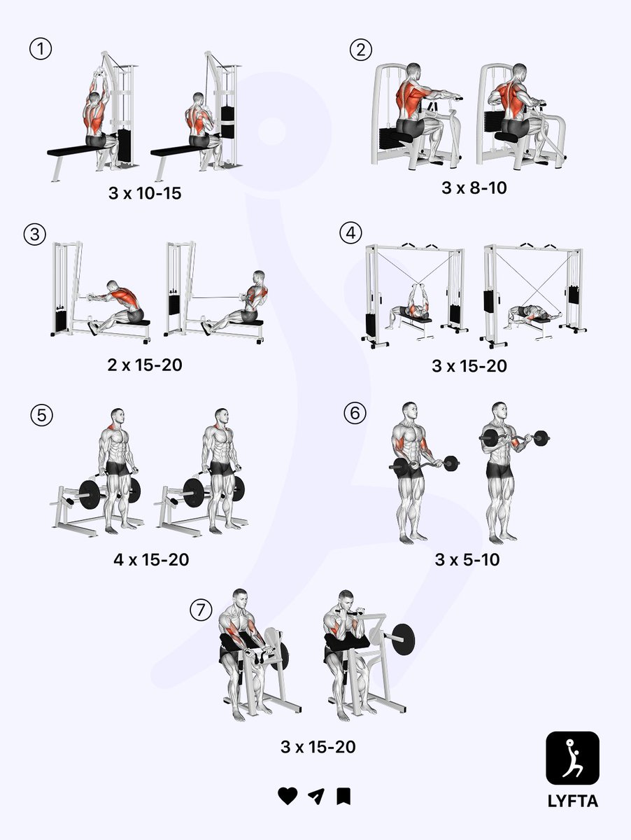 WorkoutSuccess_'s tweet photo. 📌 The perfect PULL day (Gym &amp; Home) https://t.co/CYvJNxxulP