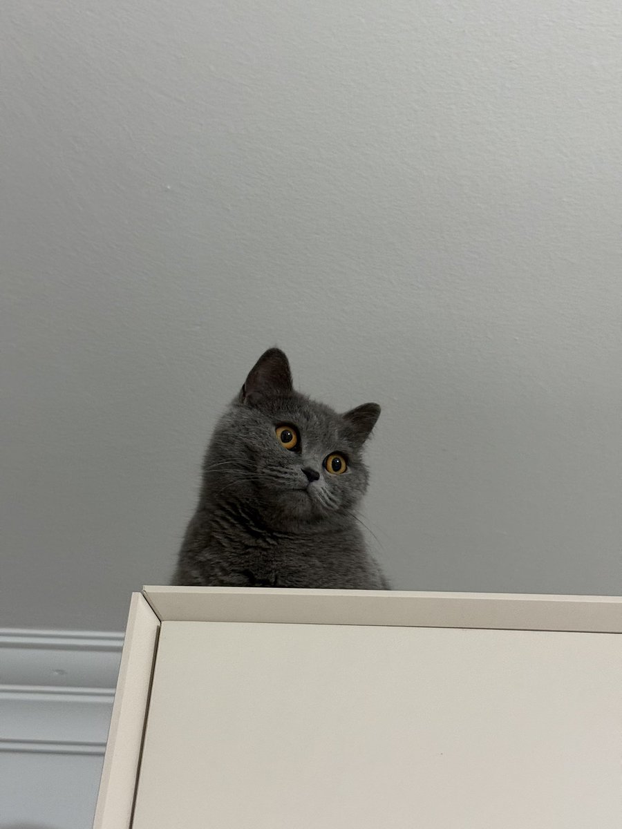 hazır çıkmışken bi oraları da silsene be