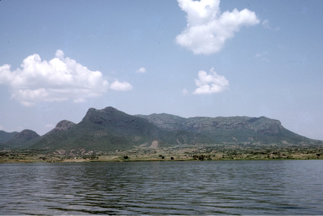 Willy Abuga tweet media