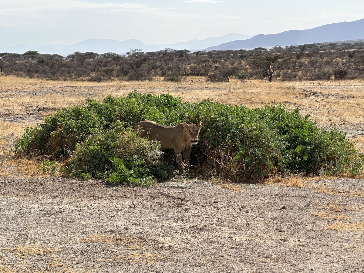 Willy Abuga tweet media